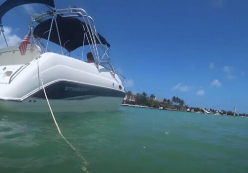 Boat Collision Ella Adler