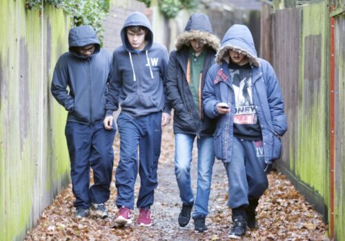 youth crime rates